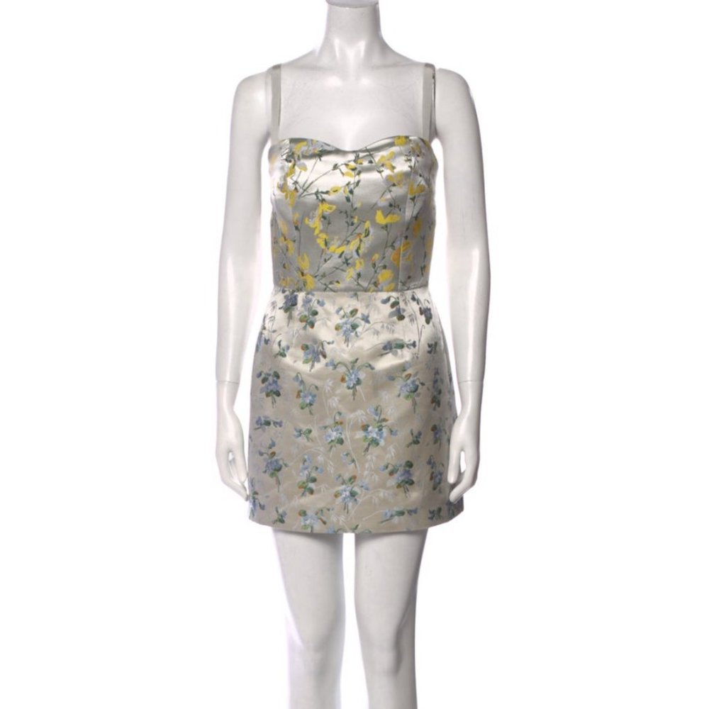 Alexander McQueen SweetPea Floral Mini Dress